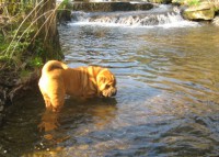 /album/fotogaleria/blani-w3-jpg/